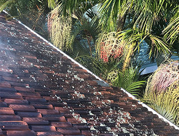 Roof Repairs and Restoration Sydney