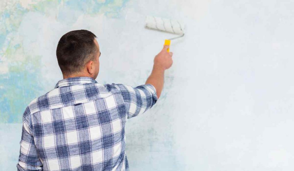painting services in Edgecliff