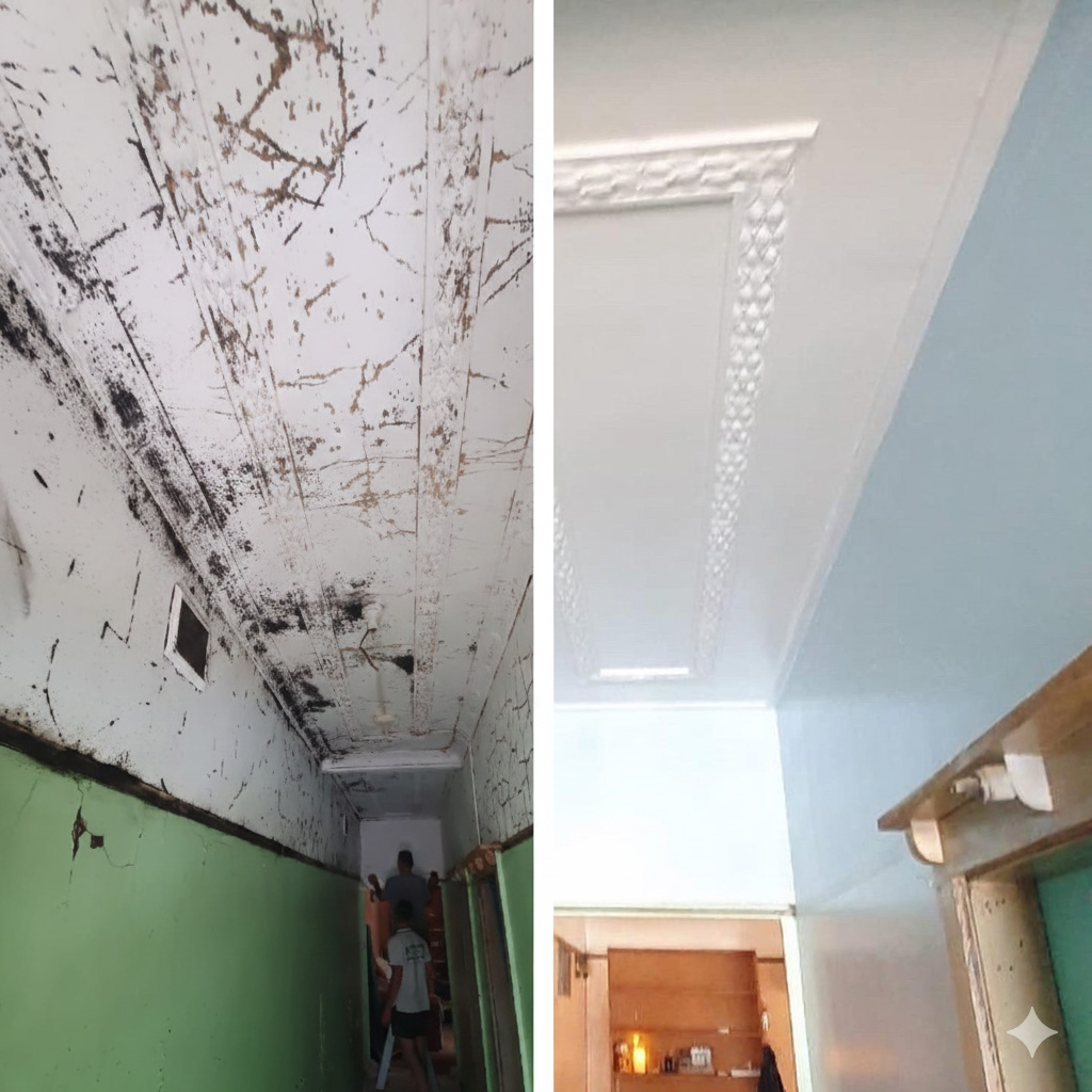 mould-removal-anti-mould-painting-before-after