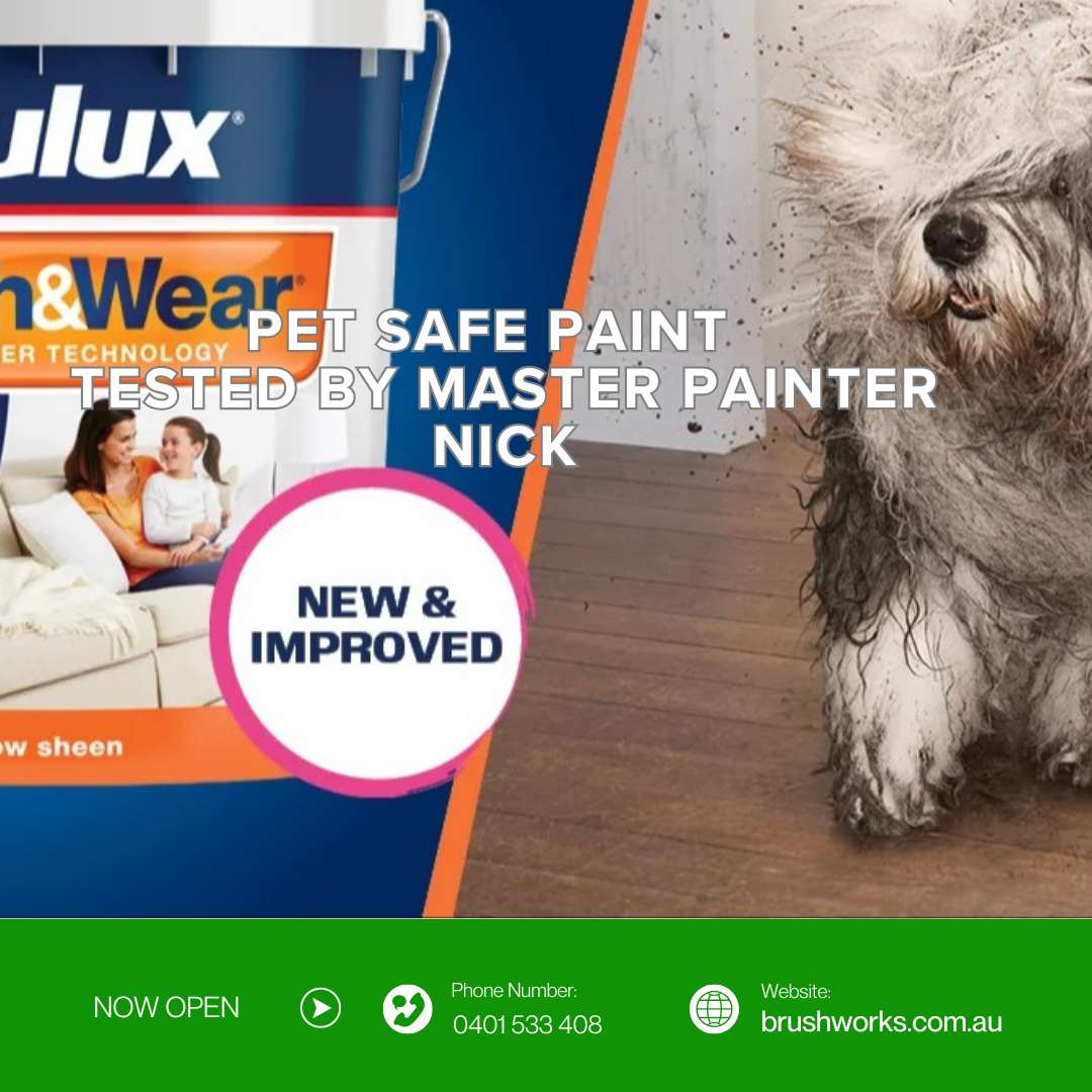 pet-safe-paint-in-sydney
