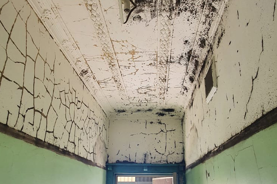 Before — toxic mould and cracking paint in Stanmore home prior to Brushworks treatment